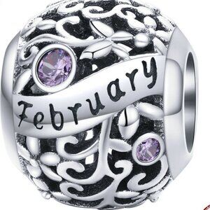 925 Stering Silver Charm Febrary